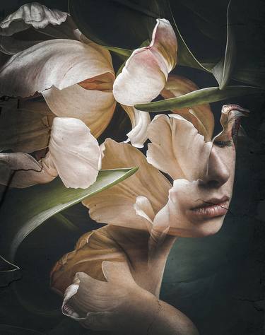 Botanic collection Vol. 18 Sleep mode – Flower bud. Art portrait on canvas - Limited Edition of 22 thumb