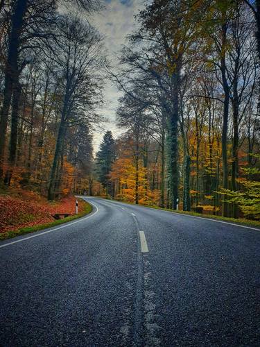 Road in Autumn thumb