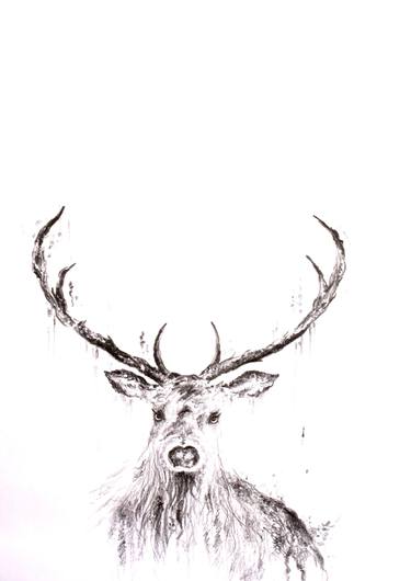 Print of Modern Animal Drawings by Wincy Xavier