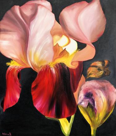 Print of Fine Art Floral Paintings by Atena Diac