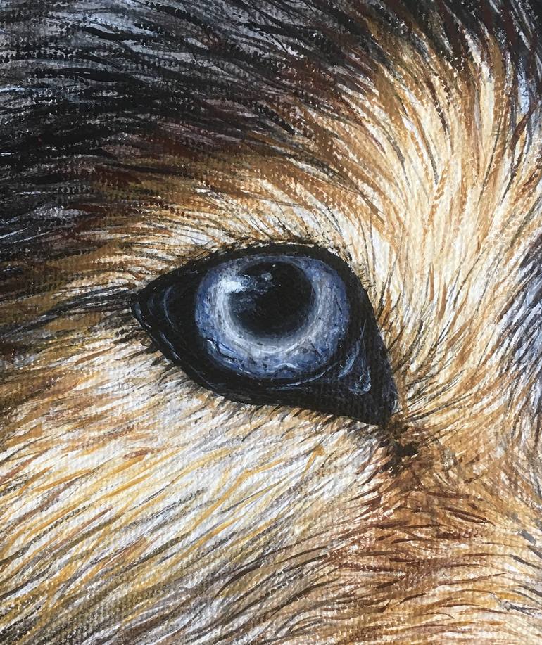 Original Realism Animal Painting by Hannah Hoffman