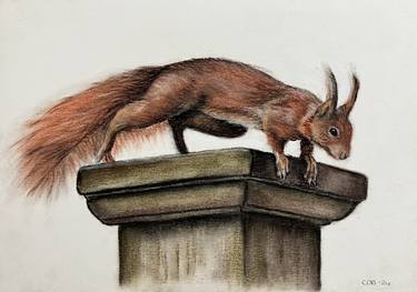 Original Realism Animal Drawings by Chantal Durham-Bogers