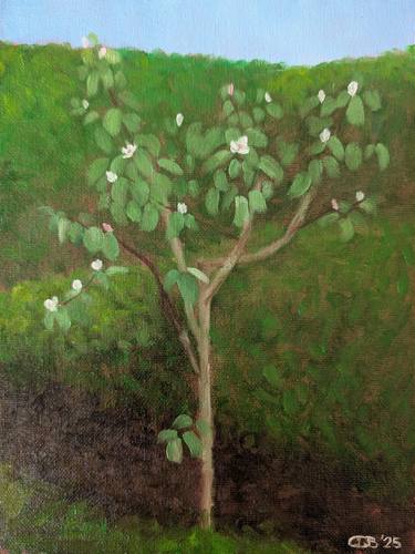 Original Contemporary Floral Painting by Chantal Durham-Bogers