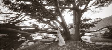 Original Tree Photography by Birgit Maddox
