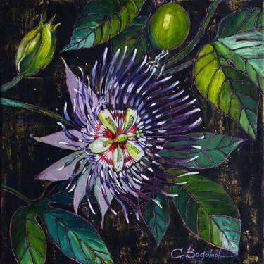 Print of Fine Art Floral Paintings by Gina Bogomol