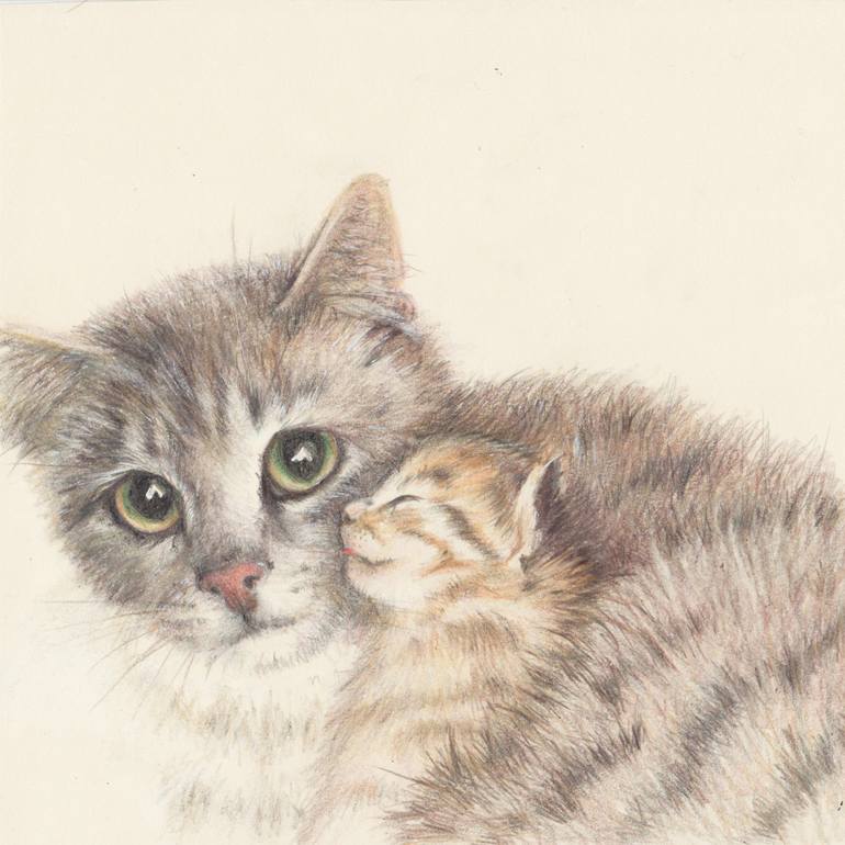 017 Сat with kitten Drawing by Olga Trifonova | Saatchi Art