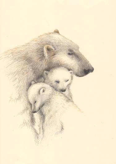 Original Animal Drawings by Olga Trifonova