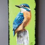 Kingfisher on green by Christine Boniface