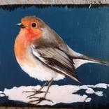 Robin on dark blue by Christine Boniface