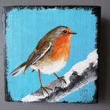 Robin on light blue by Christine Boniface