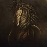 Dark Horse by Christine Boniface