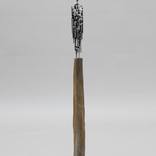 human nails XXVI by Manfred Hellweger