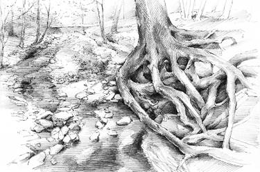 Roots and silent forest I. image