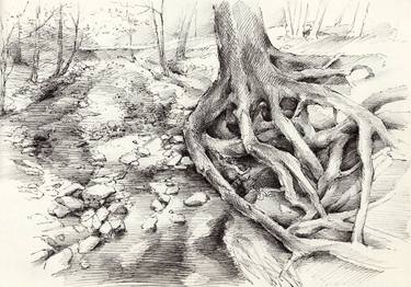 Original Figurative Tree Drawings by Adriana Mueller