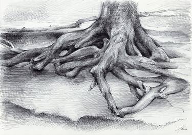 Original Figurative Tree Drawings by Adriana Mueller