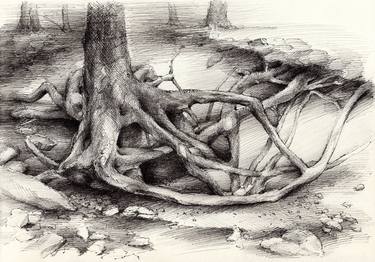 Original Figurative Tree Drawings by Adriana Mueller