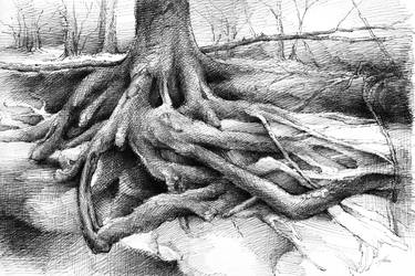 Original Figurative Tree Drawings by Adriana Mueller