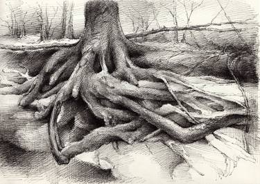 Original Tree Drawings by Adriana Mueller