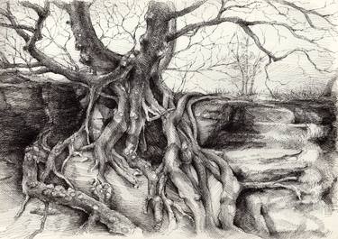 Original Tree Drawings by Adriana Mueller