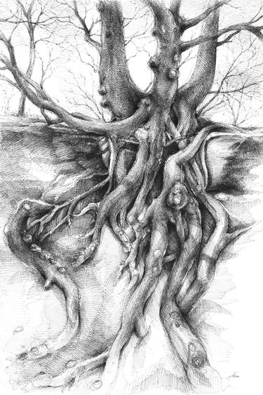 Graceful tree that grows on the sandstone II image
