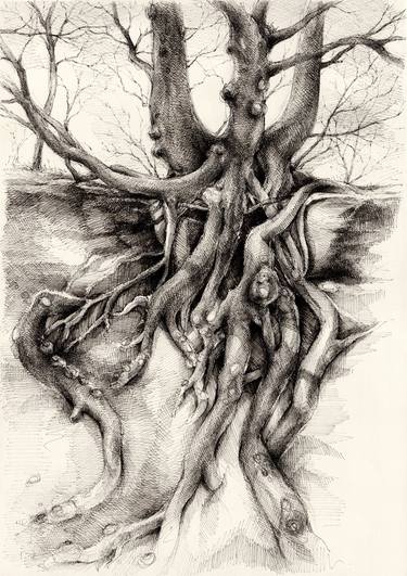 Original Fine Art Tree Drawings by Adriana Mueller