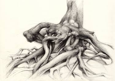 Print of Fine Art Tree Drawings by Adriana Mueller