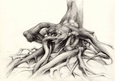 Original Fine Art Tree Drawings by Adriana Mueller