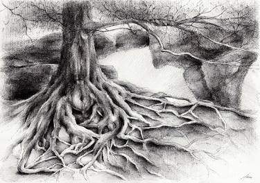 Original Fine Art Tree Drawings by Adriana Mueller