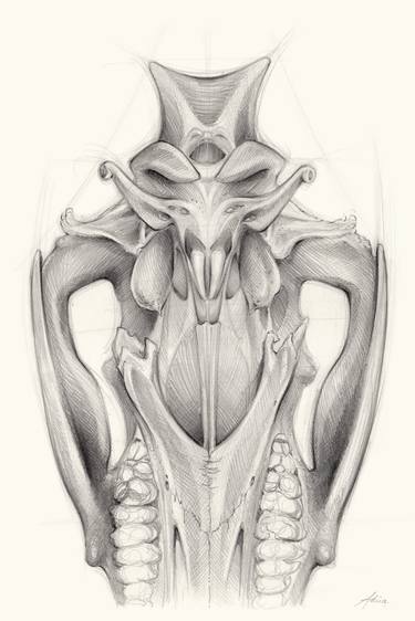 Original Figurative Mortality Drawings by Adriana Mueller