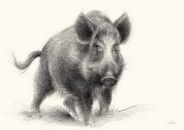 Original Fine Art Animal Drawings by Adriana Mueller