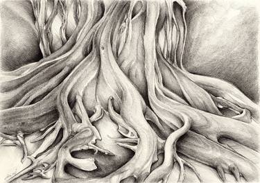 Print of Tree Drawings by Adriana Mueller
