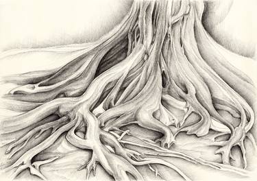 Original Fine Art Tree Drawings by Adriana Mueller