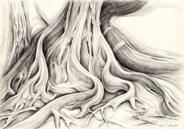 Original Tree Drawings by Adriana Mueller