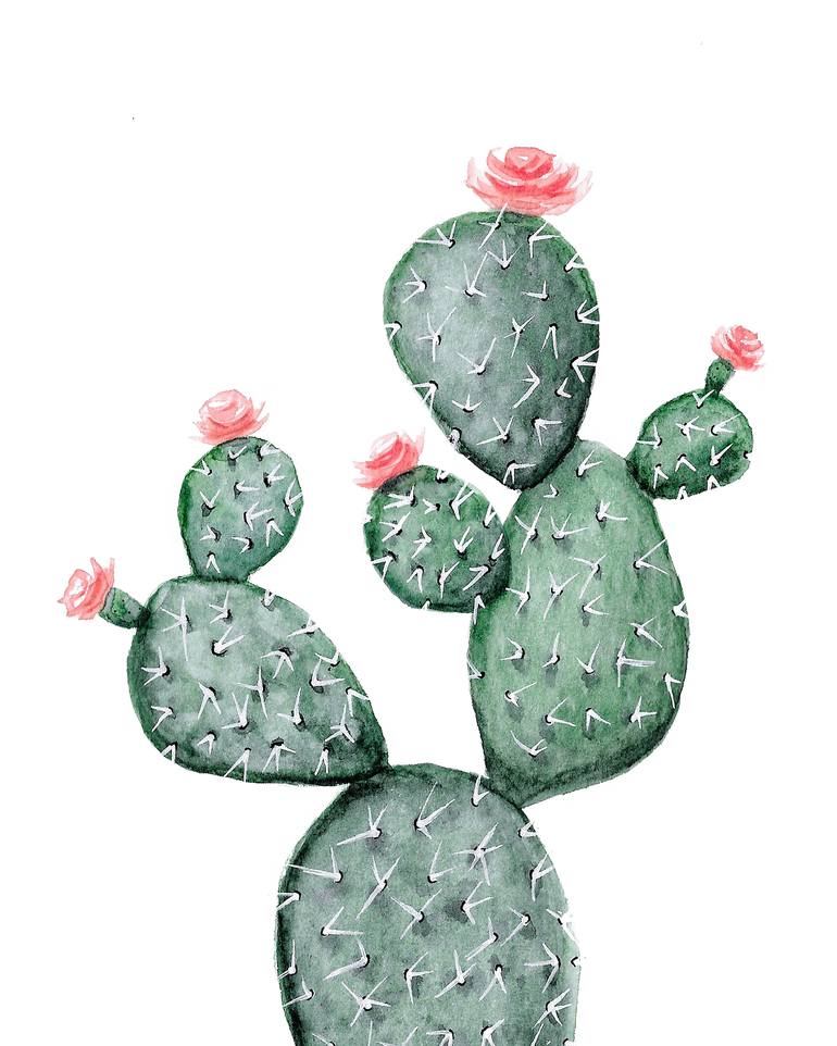 cactus illustration watercolor