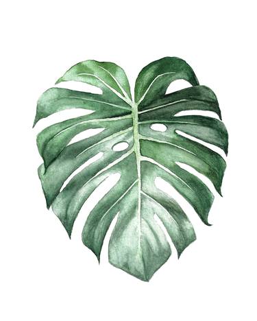 Monstera Leaf Art Print, Tropical Plant Watercolor Painting Painting By Reem Mosalam | Saatchi Art
