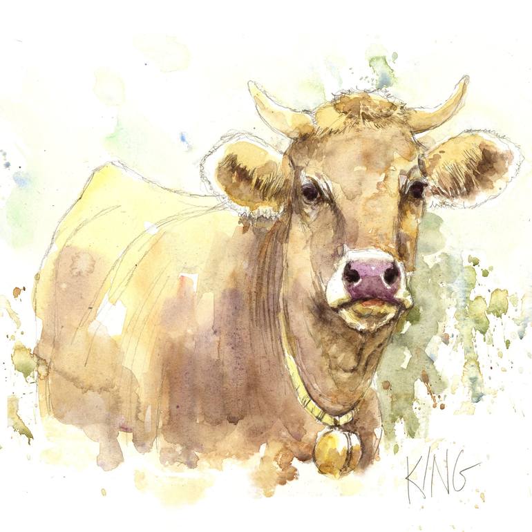 charolais bull drawing