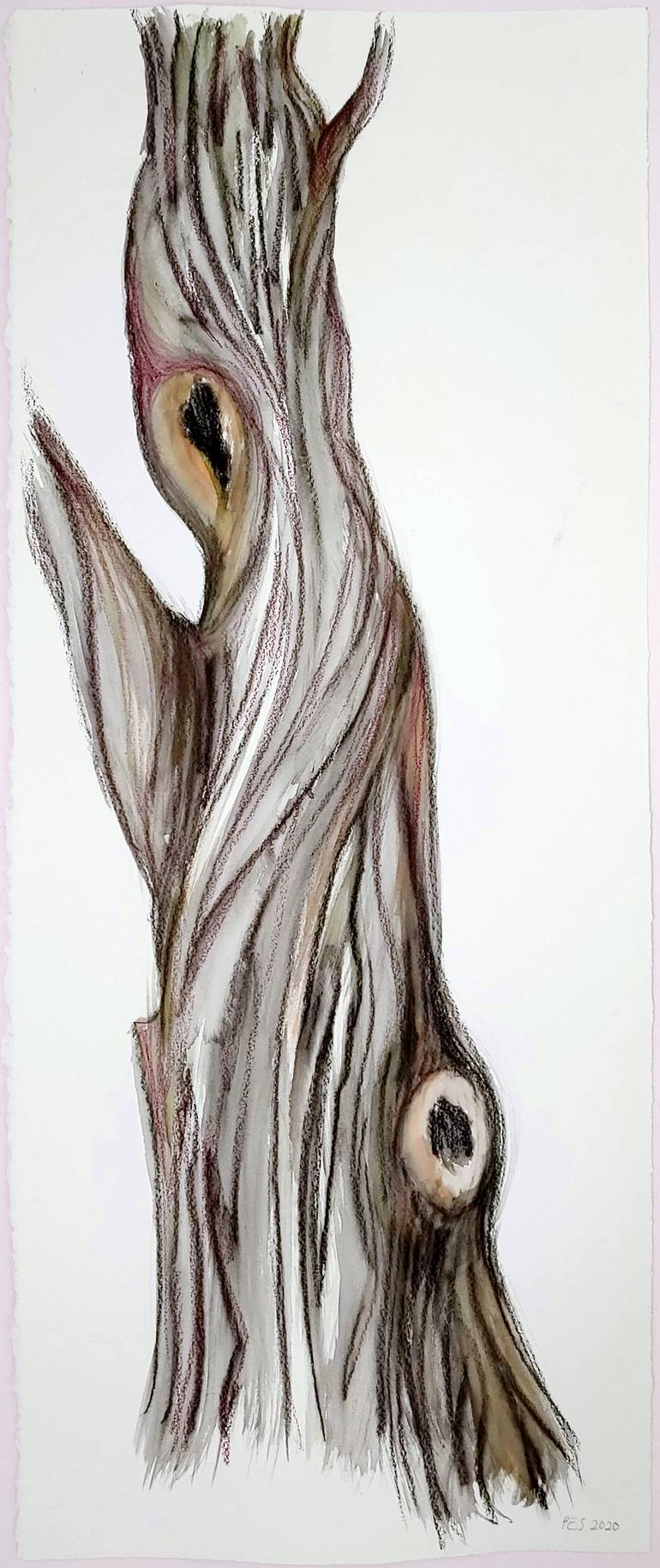 Trunk Study 1 Painting by Patricia Sundman | Saatchi Art