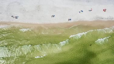 Grayton Beach State Park thumb