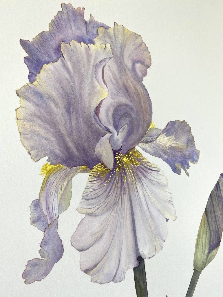 Original Illustration Floral Painting by Ieva Graudina