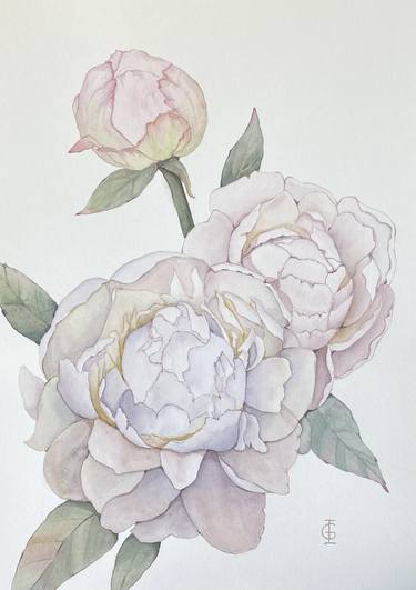 Original Illustration Floral Paintings by Ieva Graudina