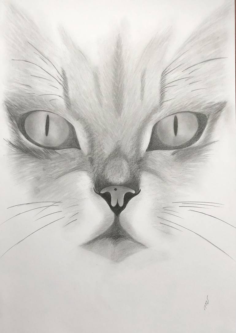 Cat's eyes Drawing by Mila Vlasova | Saatchi Art