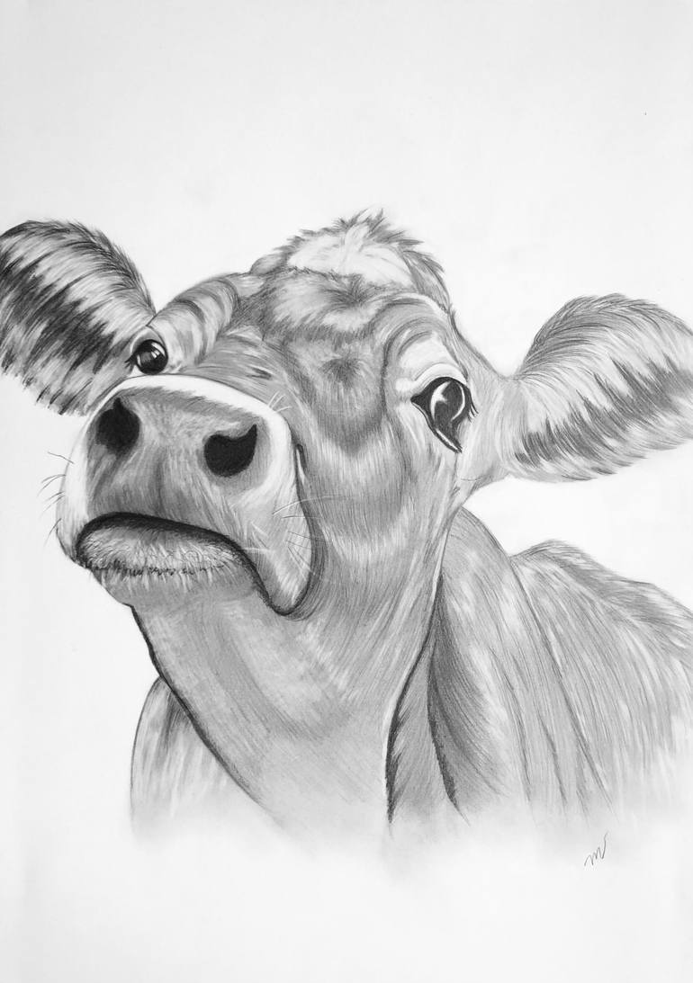 Sketch cow hand drawn Royalty Free Vector Image-gemektower.com.vn