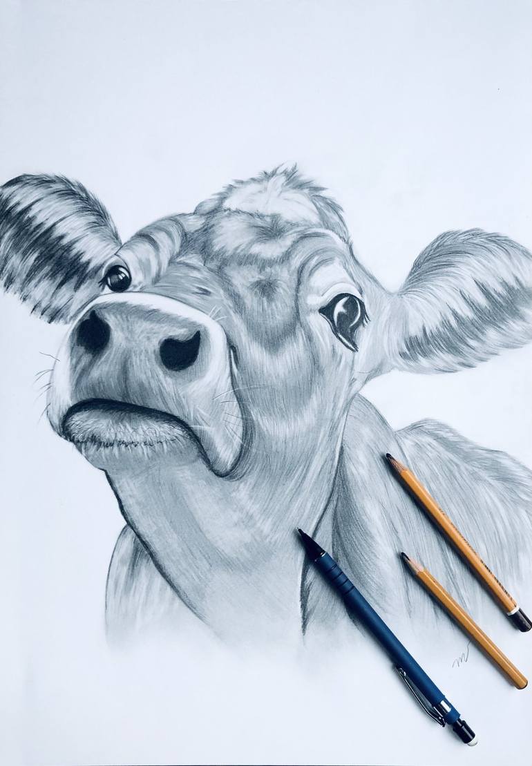 Cute cow Drawing by Mila Vlasova | Saatchi Art
