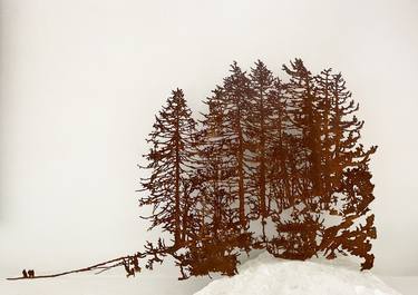 Original Nature Sculpture by Paolo Albertelli - Mariagrazia Abbaldo