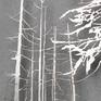 Tree portrait is an important part of our landscape research. Here it is joint by another fundamental theme, the reflection. We have used laser cut technique on steel.
93,7 (w) x 70 (h) x 0,2 (d) cm
® Photos by Nicola Dell’Aquila