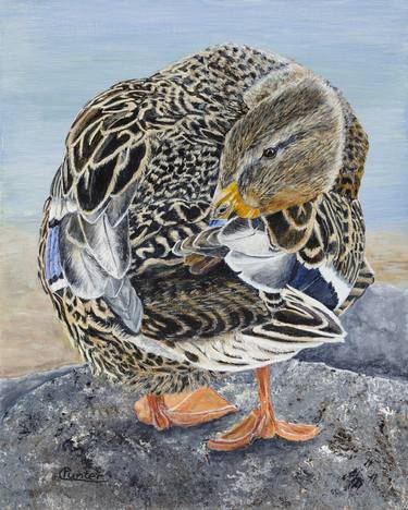 Print of Realism Animal Paintings by Claudia Punter
