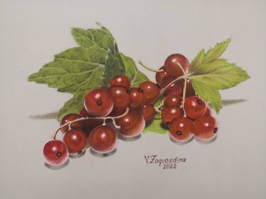 Print of Realism Botanic Drawings by Valentina Zagvozdina