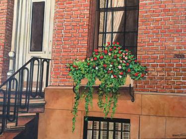 Brownstone with Flower Box, New York City thumb
