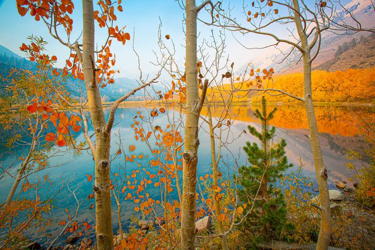 Original Landscape Photography by Rex Gelert | Modernism Art on Steel | Autumn On The Lake