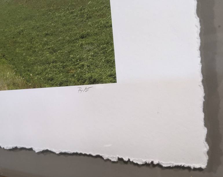 Original Documentary Landscape Photography by Rex Gelert